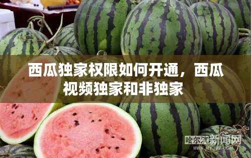 西瓜独家权限如何开通，西瓜视频独家和非独家 