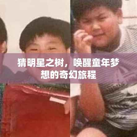 政策法规 第113页