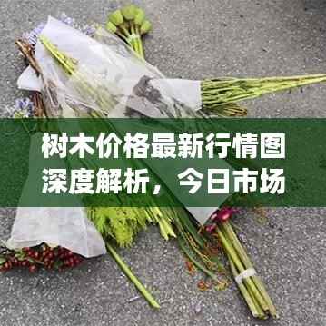 树木价格最新行情图深度解析，今日市场动态一网打尽！