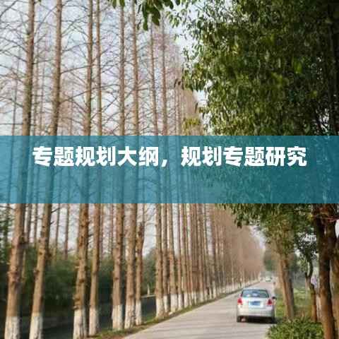 专题规划大纲,规划专题研究