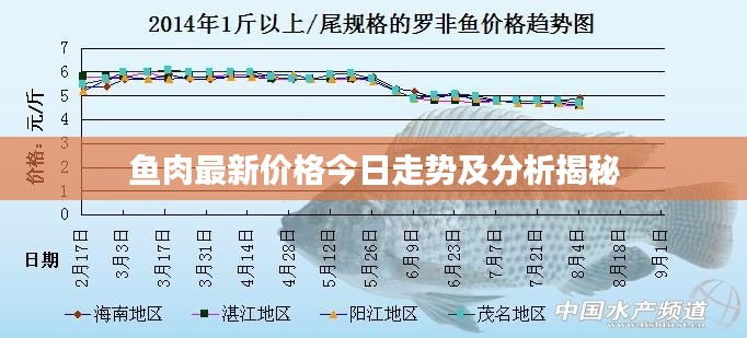 鱼肉最新价格今日走势及分析揭秘
