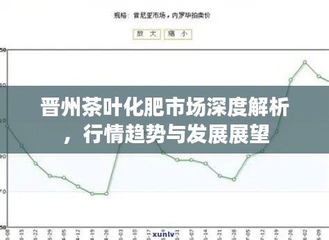 晋州茶叶化肥市场深度解析,行情趋势与发展展望