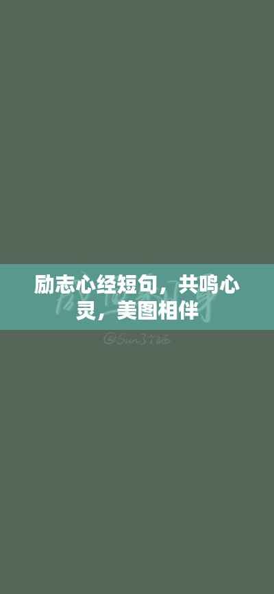励志心经短句,共鸣心灵,美图相伴
