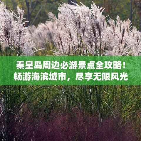 秦皇岛周边必游景点全攻略!畅游海滨城市,尽享无限风光