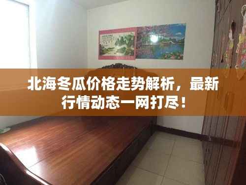 北海冬瓜价格走势解析,最新行情动态一网打尽!