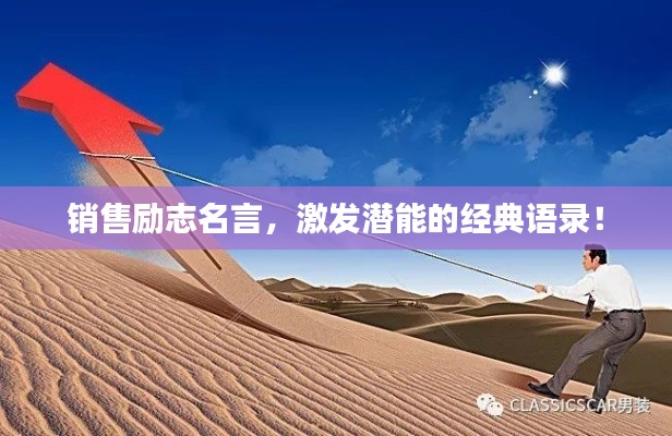 在线留言 第91页