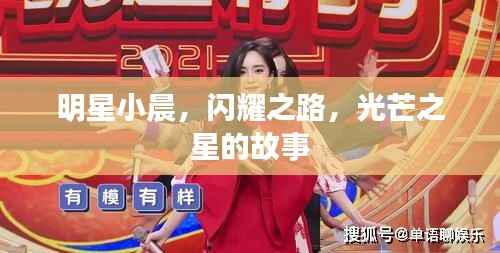 明星小晨,闪耀之路,光芒之星的故事