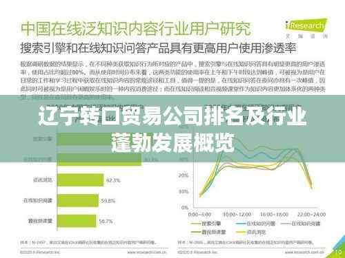 辽宁转口贸易公司排名及行业蓬勃发展概览