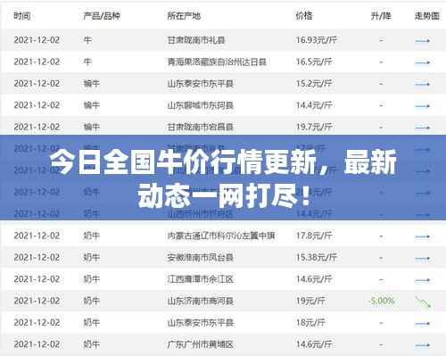 今日全国牛价行情更新,最新动态一网打尽!