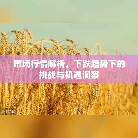市场行情解析，下跌趋势下的挑战与机遇洞察