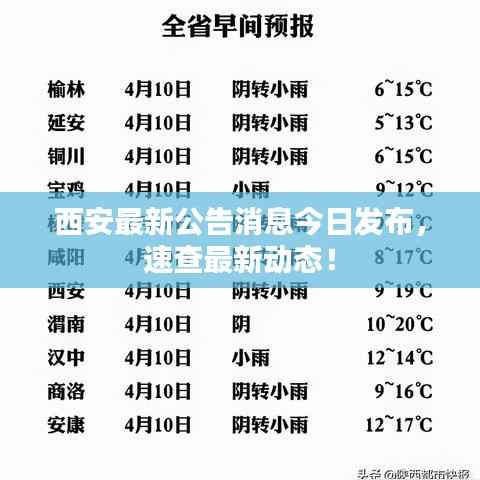 西安最新公告消息今日发布,速查最新动态!