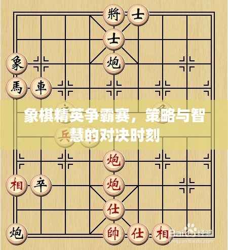 象棋精英争霸赛,策略与智慧的对决时刻