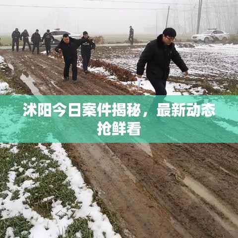 沭阳今日案件揭秘，最新动态抢鲜看