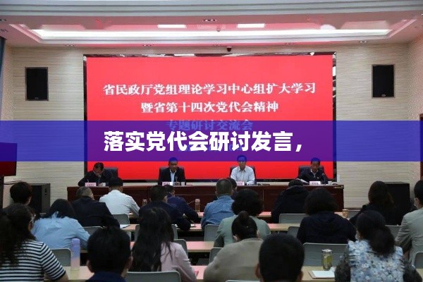 落实党代会研讨发言， 