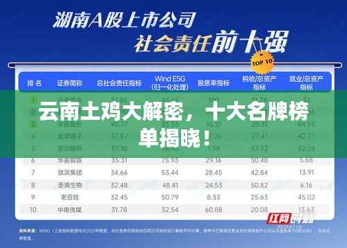 云南土鸡大解密，十大名牌榜单揭晓！