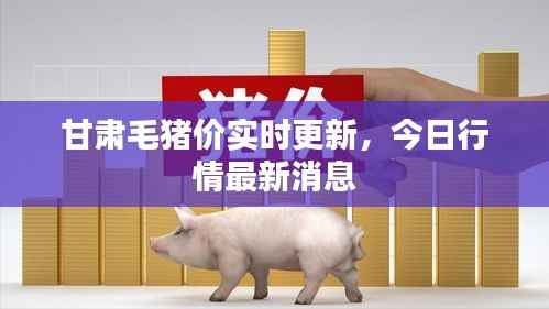 甘肃毛猪价实时更新，今日行情最新消息