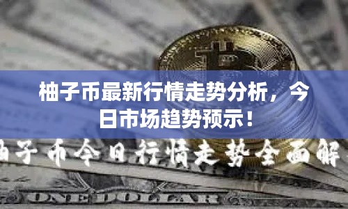 百不得一 第2页