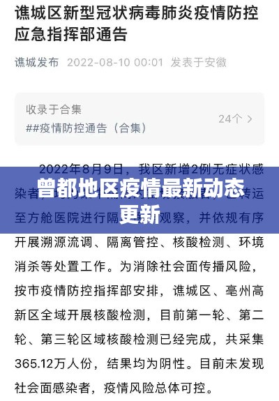 曾都地区疫情最新动态更新