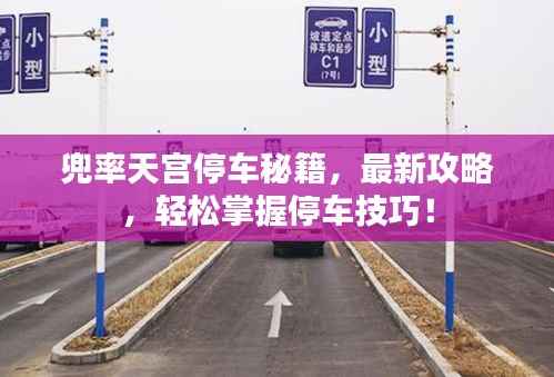 兜率天宫停车秘籍，最新攻略，轻松掌握停车技巧！